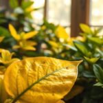 do indoor flowers need grow lights