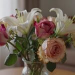 flower color fading indoors