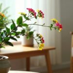 leggy flowering houseplant indoors